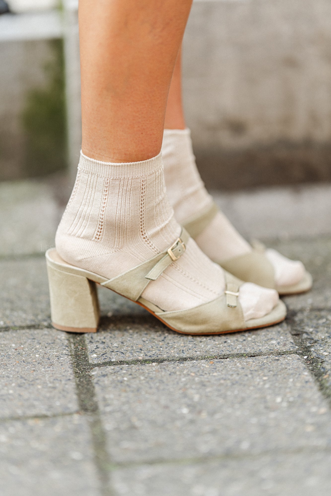 Glitter dollie socks sand dollar