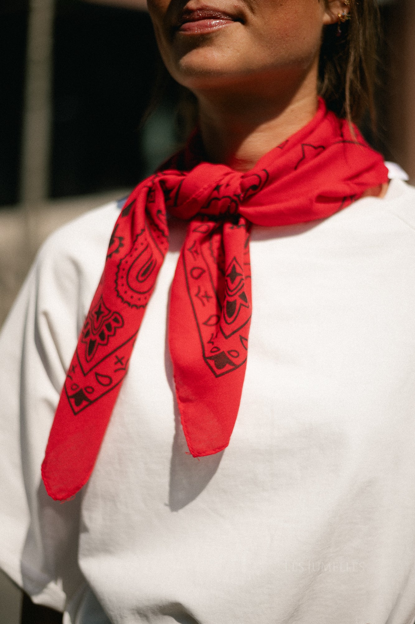Sue paisley print scarf red