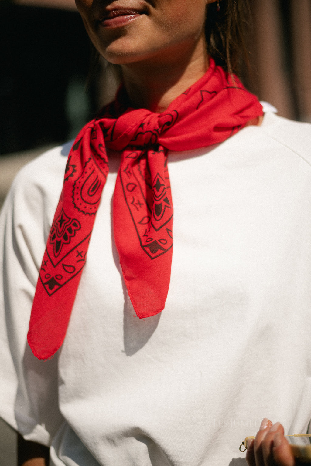 Sue paisley print scarf red