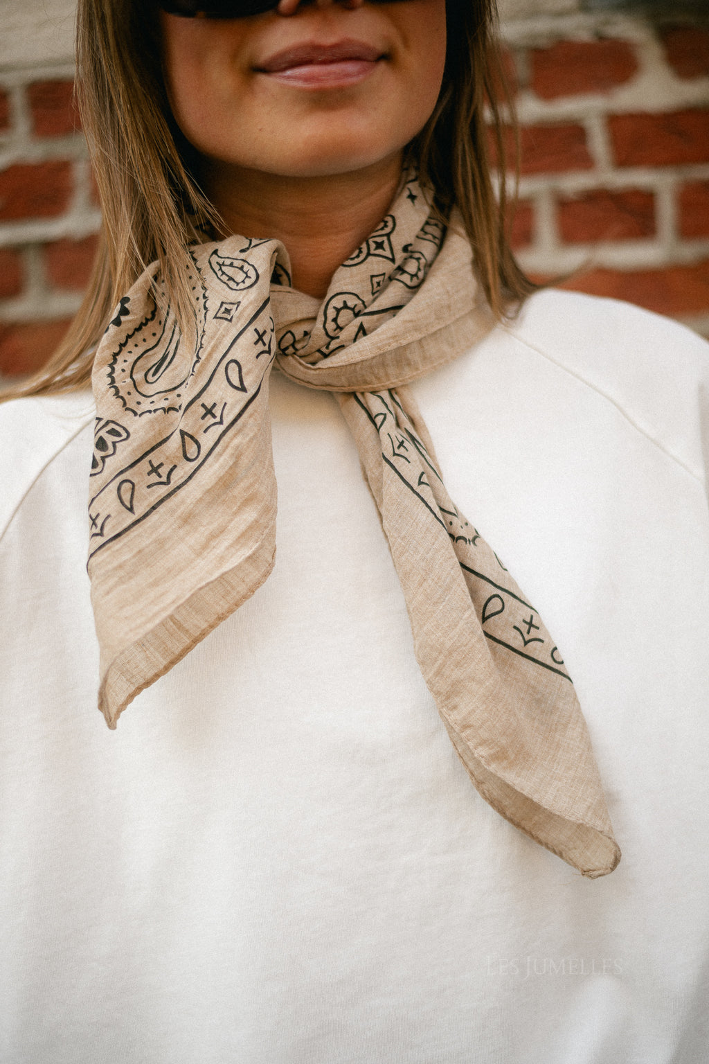 Sue paisley print scarf taupe
