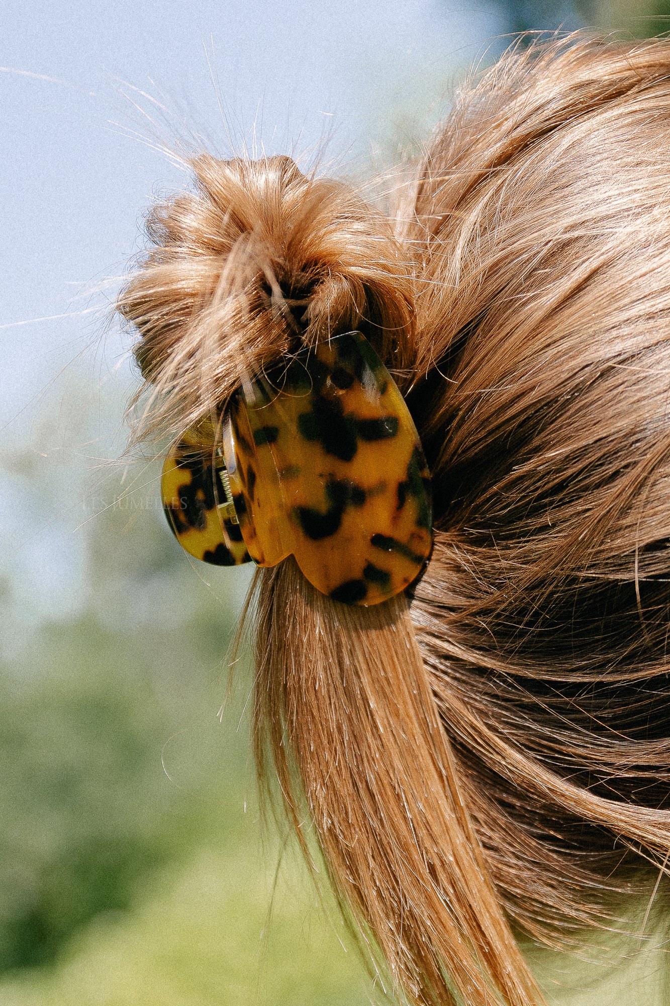 Heart hair clip