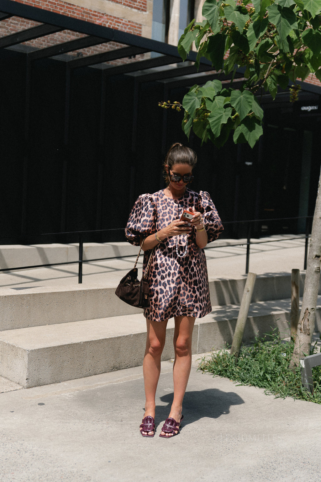 Charlotte dress leopard