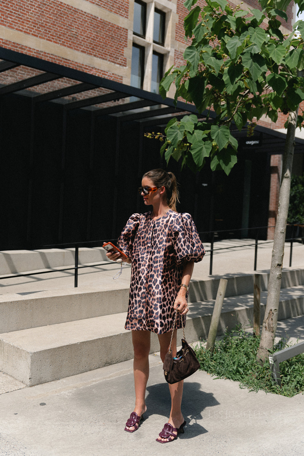 Charlotte dress leopard