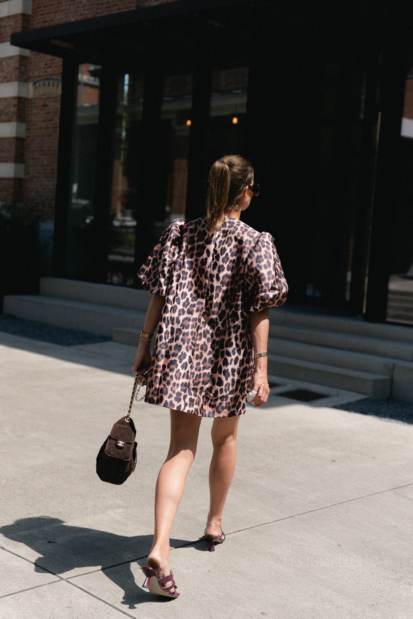 Charlotte dress leopard