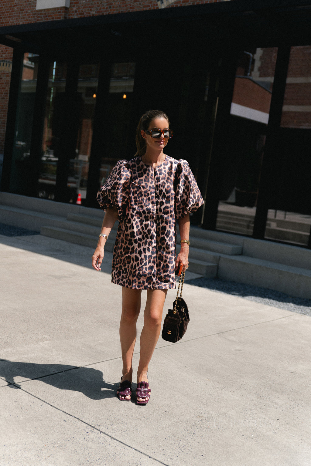 Charlotte dress leopard