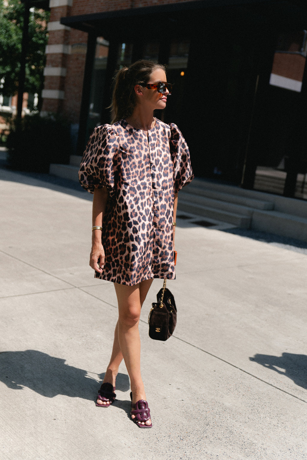 Charlotte dress leopard