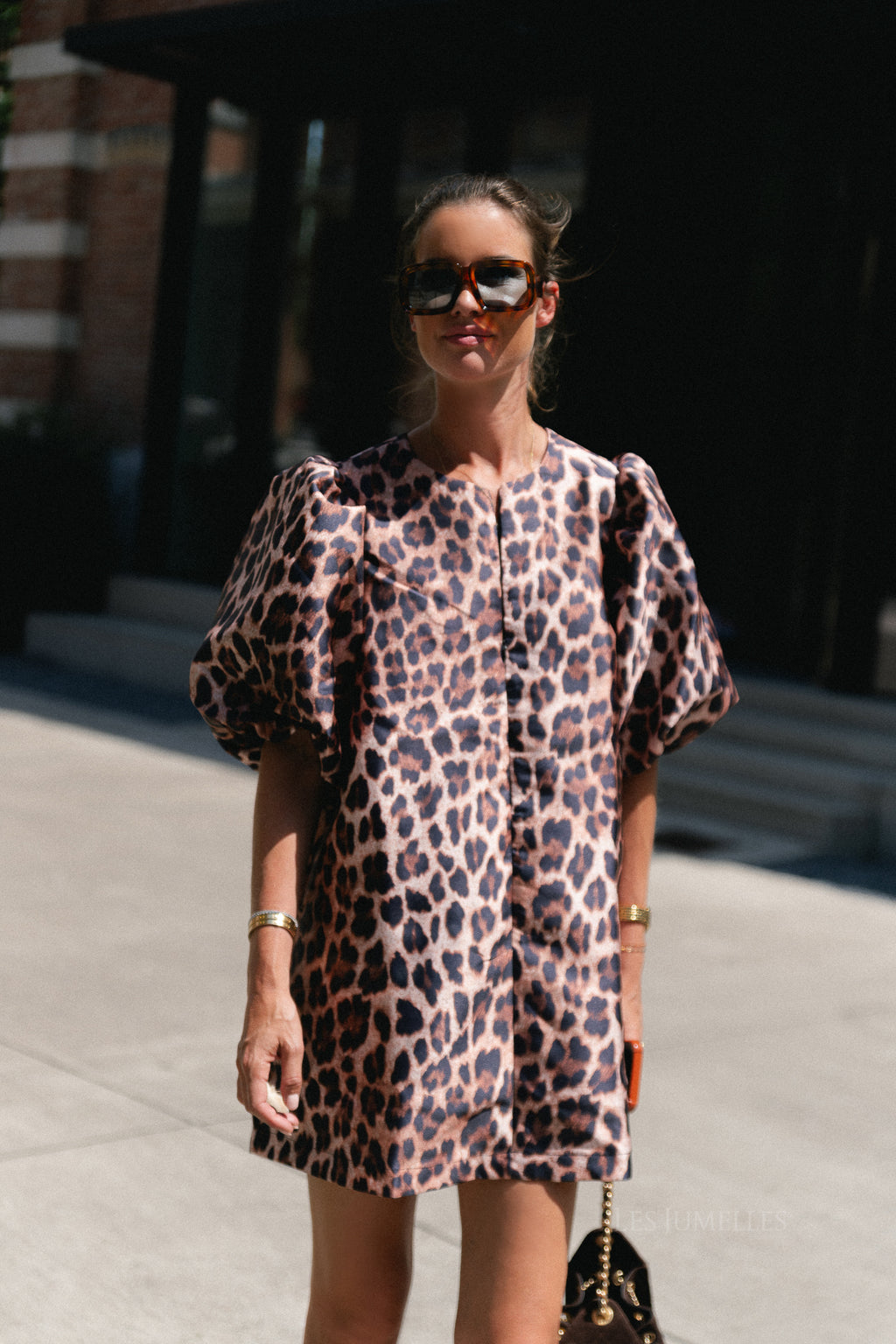 Charlotte dress leopard