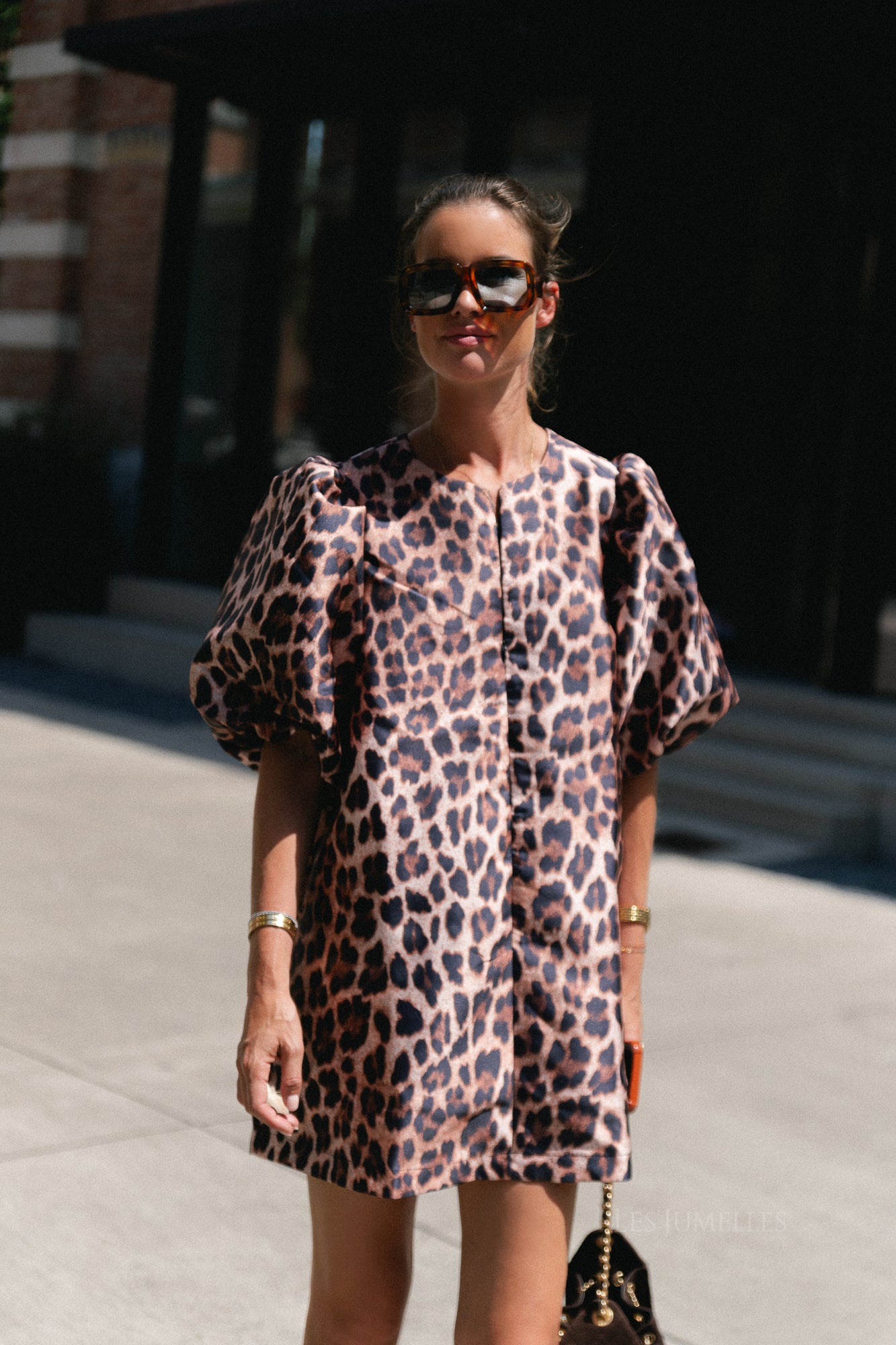 Charlotte dress leopard