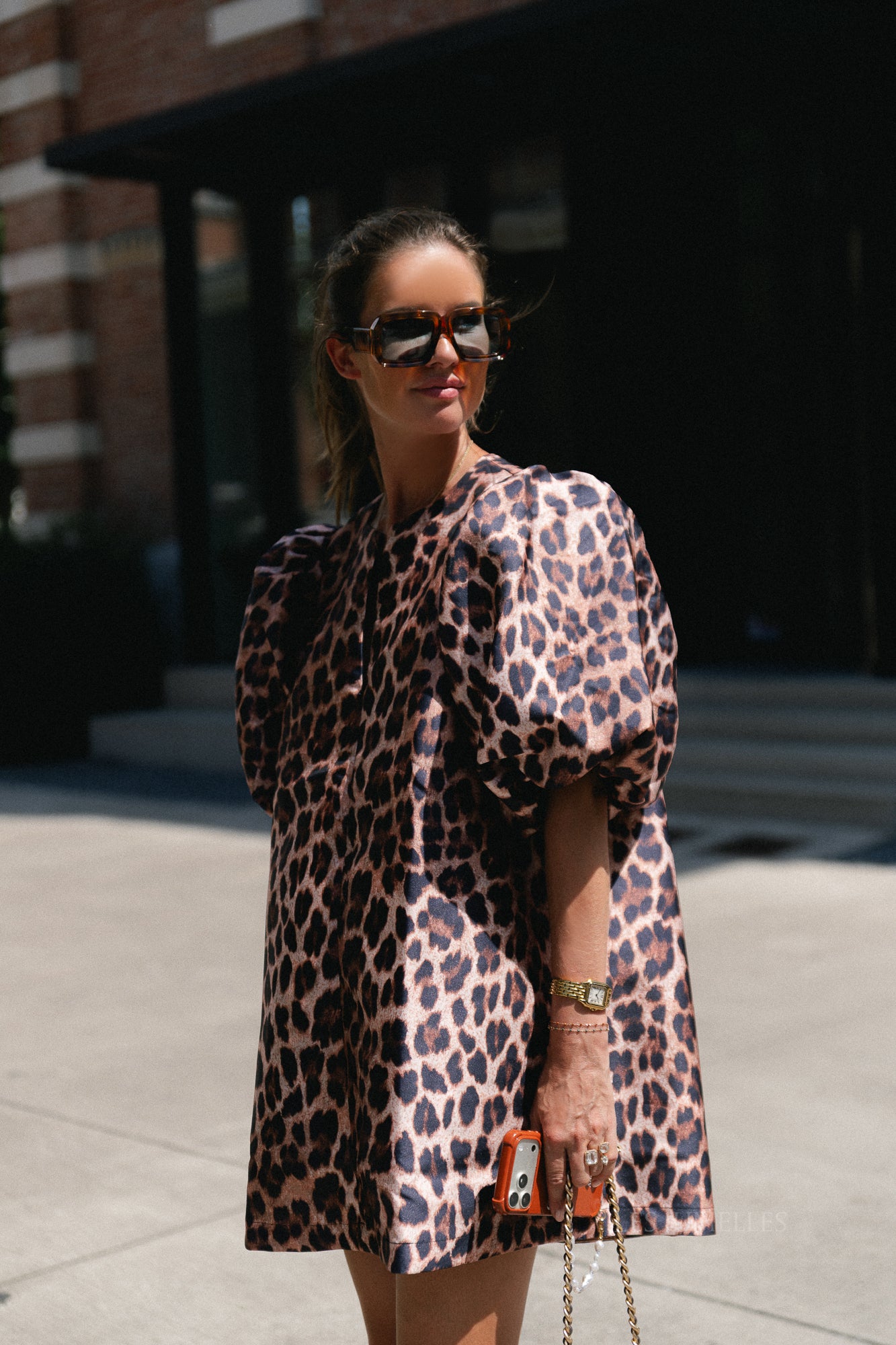 Charlotte dress leopard