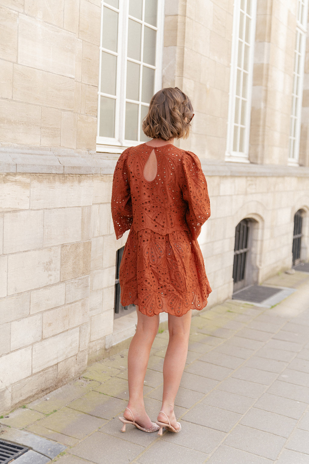 Crisp delicate embroidered cotton dress brown