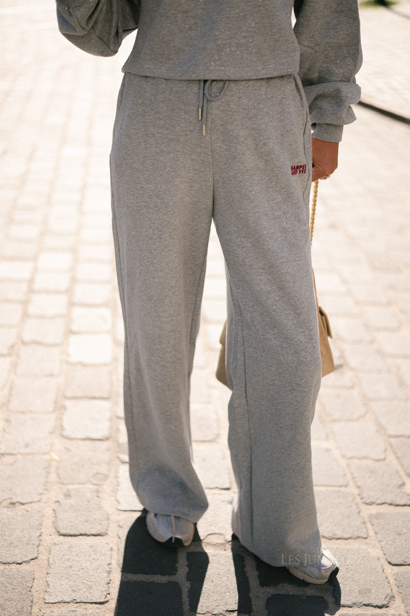 Froukje pants sparkling grey