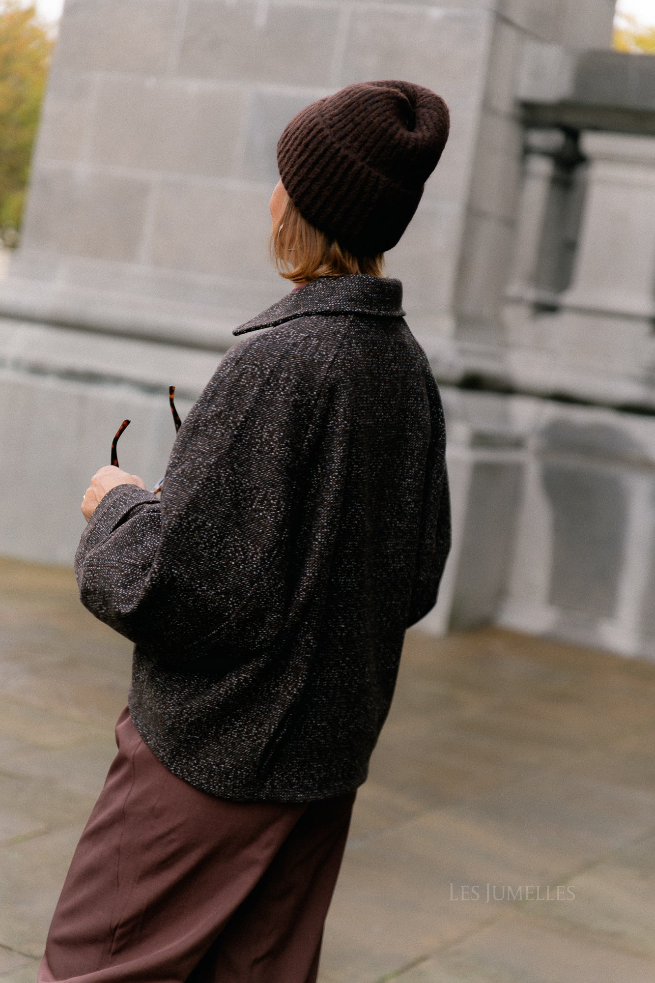 Darlin wool jacket brown
