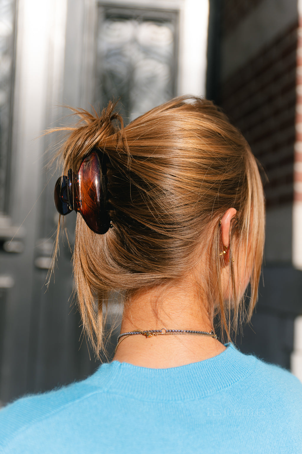 Tortoiseshell hair clip brown