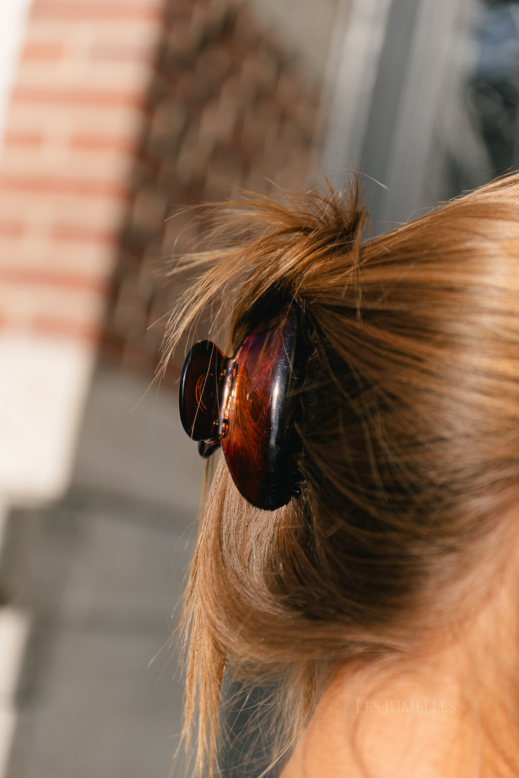 Tortoiseshell hair clip brown