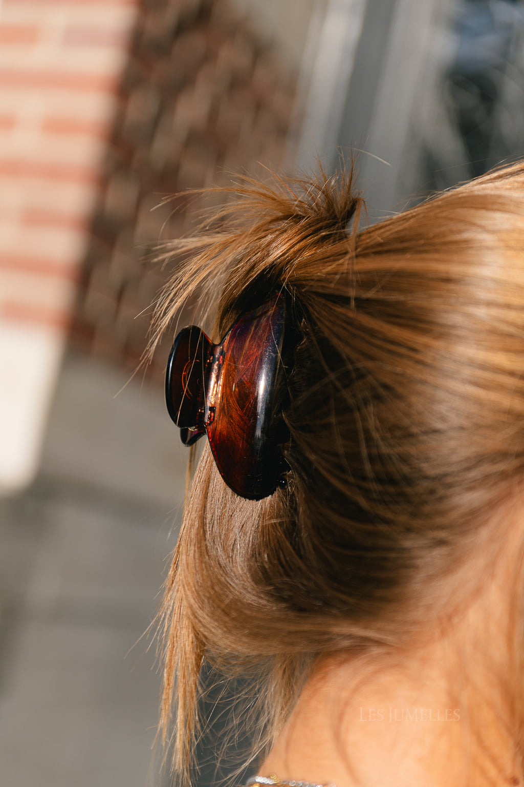Tortoiseshell hair clip brown