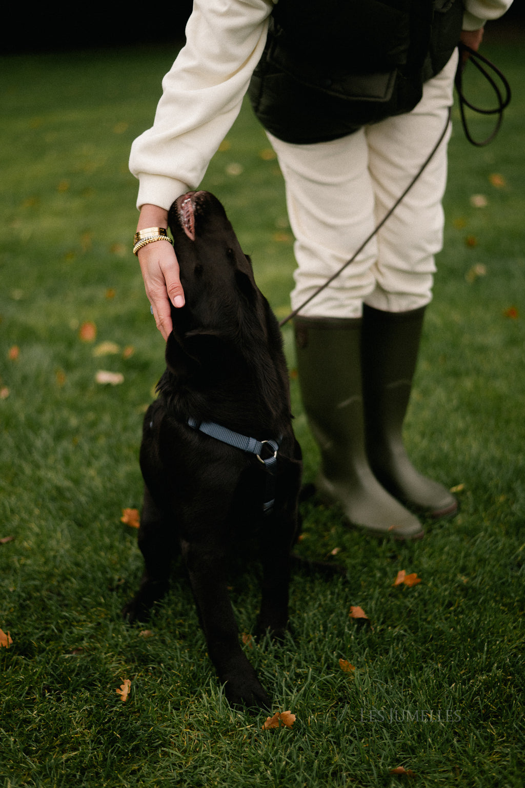 Rachel ribfluwelen broek ecru