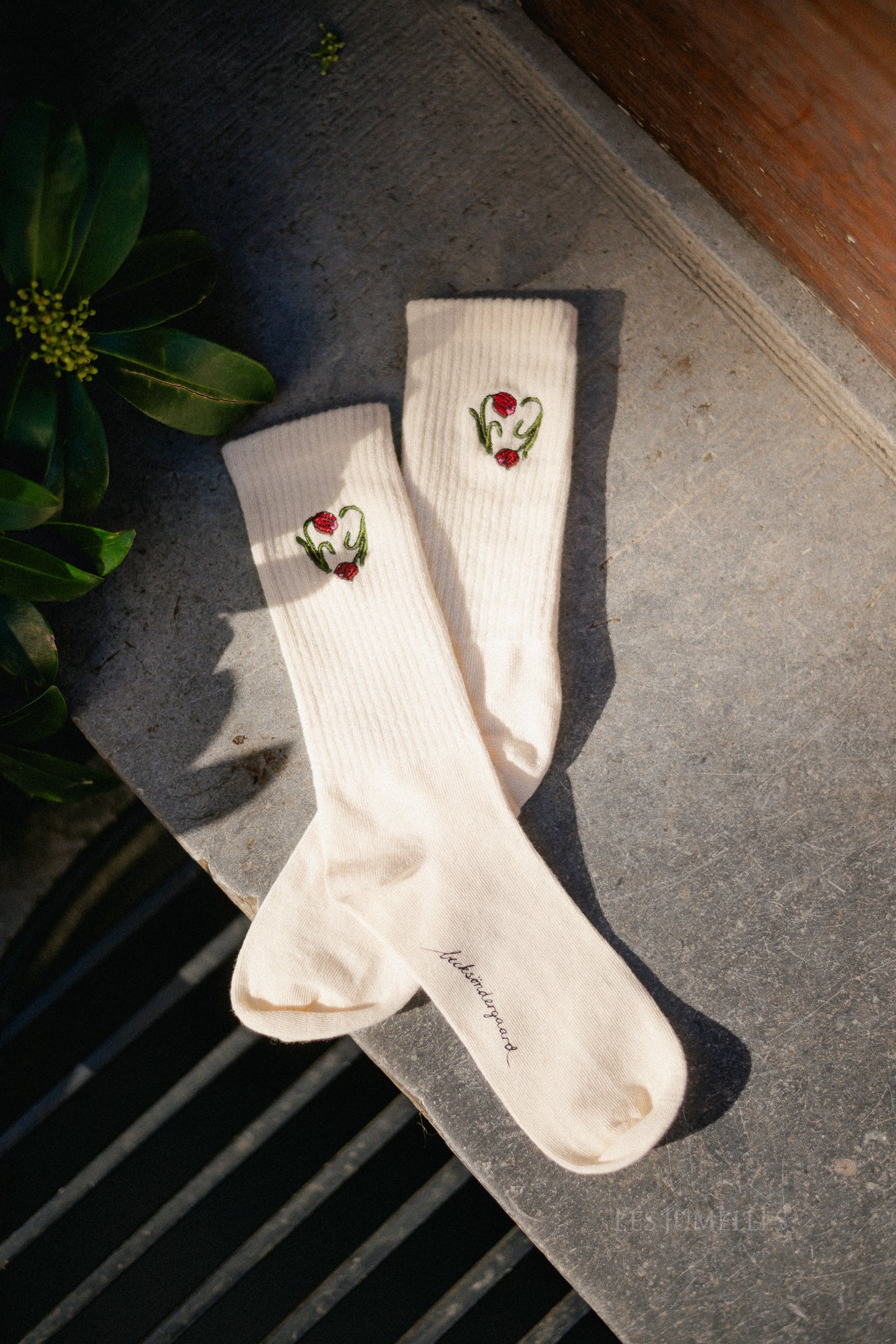 Tulipa Cotta sock birch white