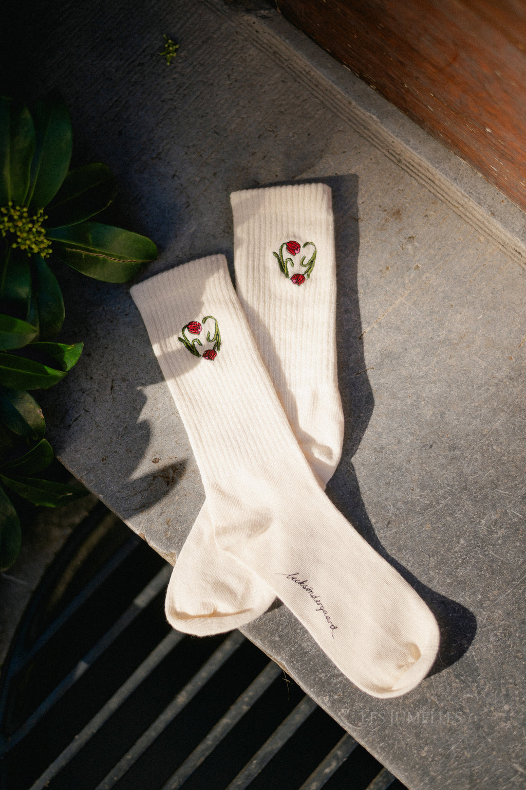 Tulipa Cotta sock birch white