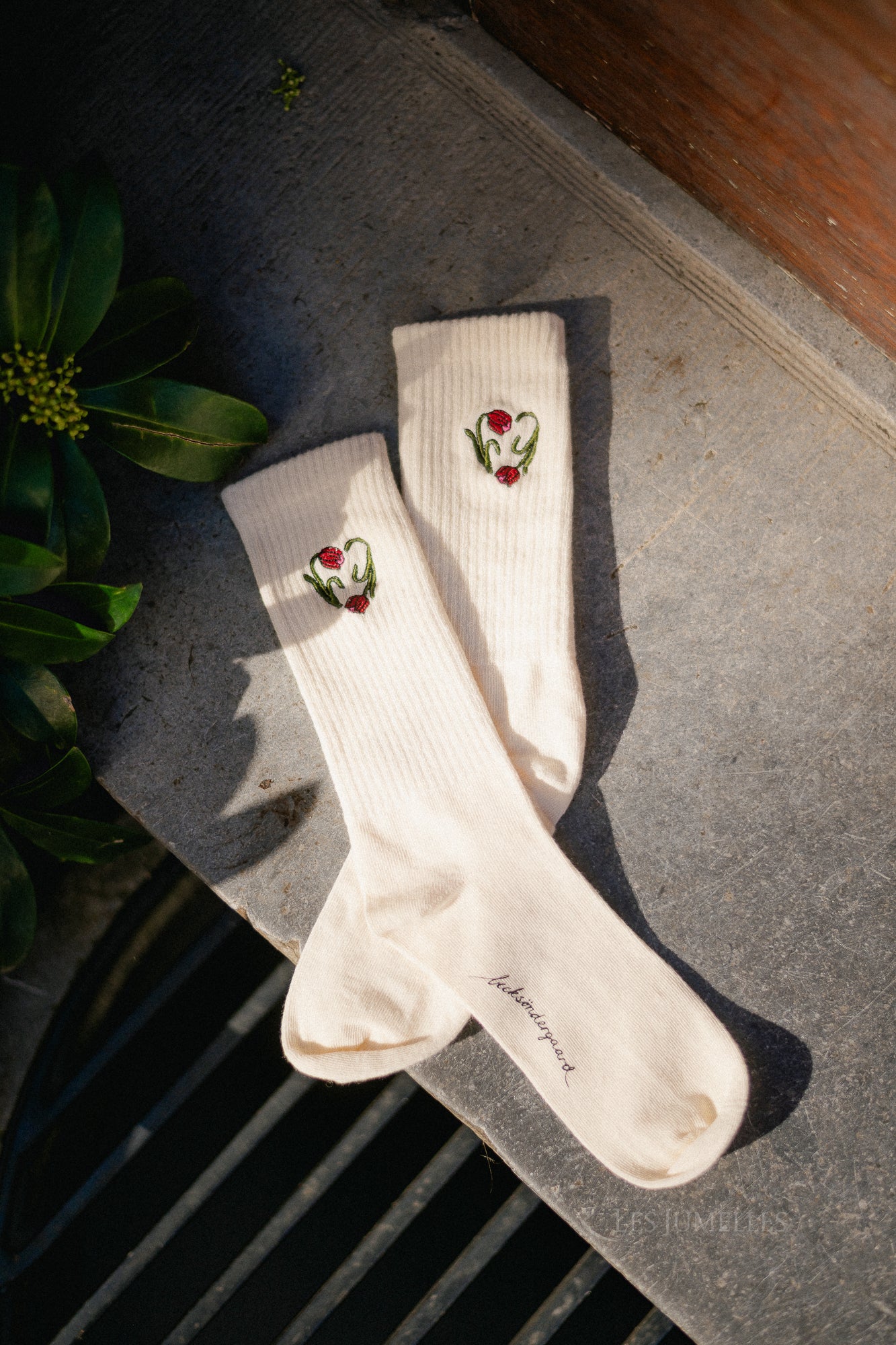 Tulipa Cotta sock birch white