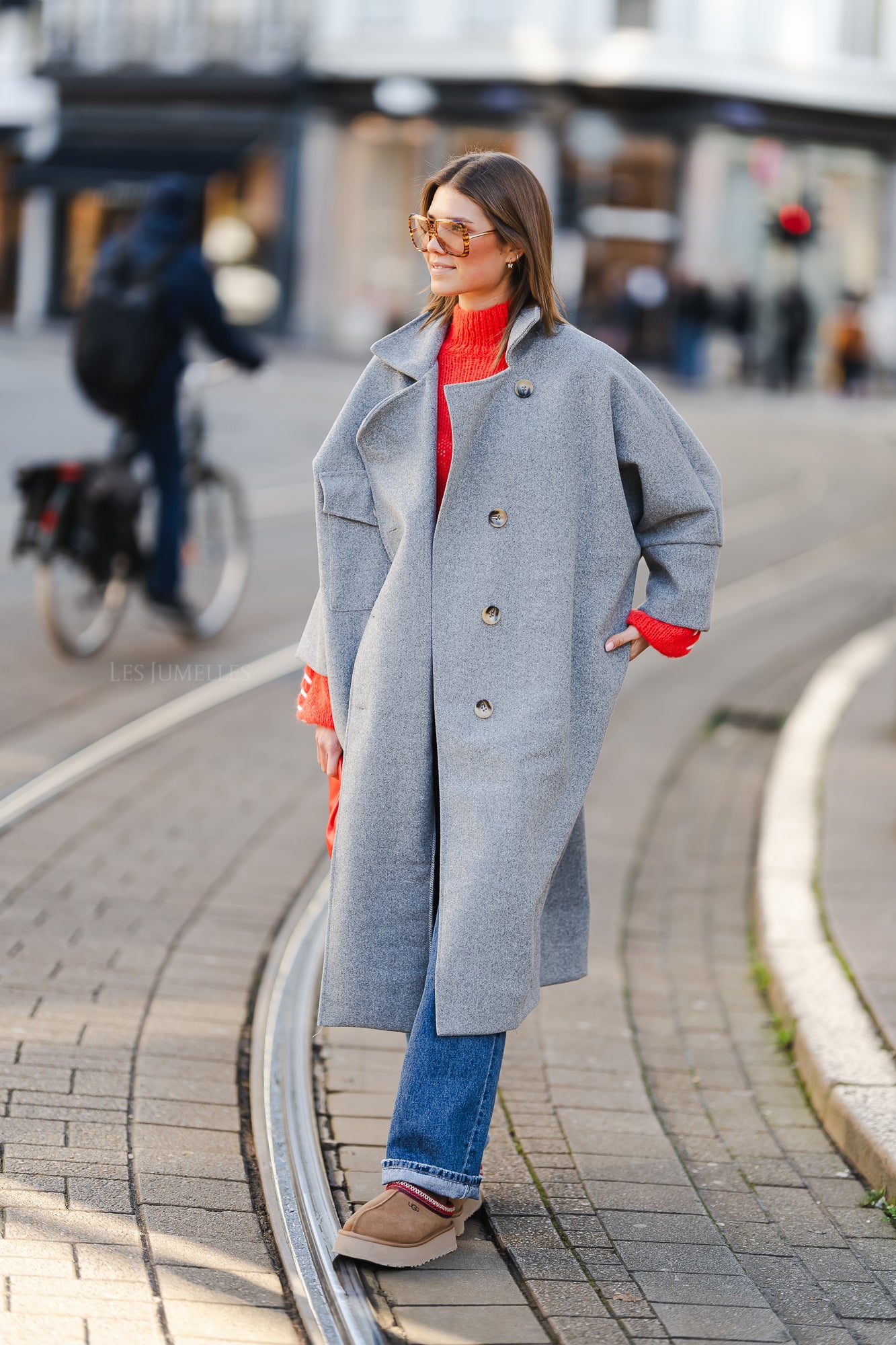 Ash 2024 grey coat