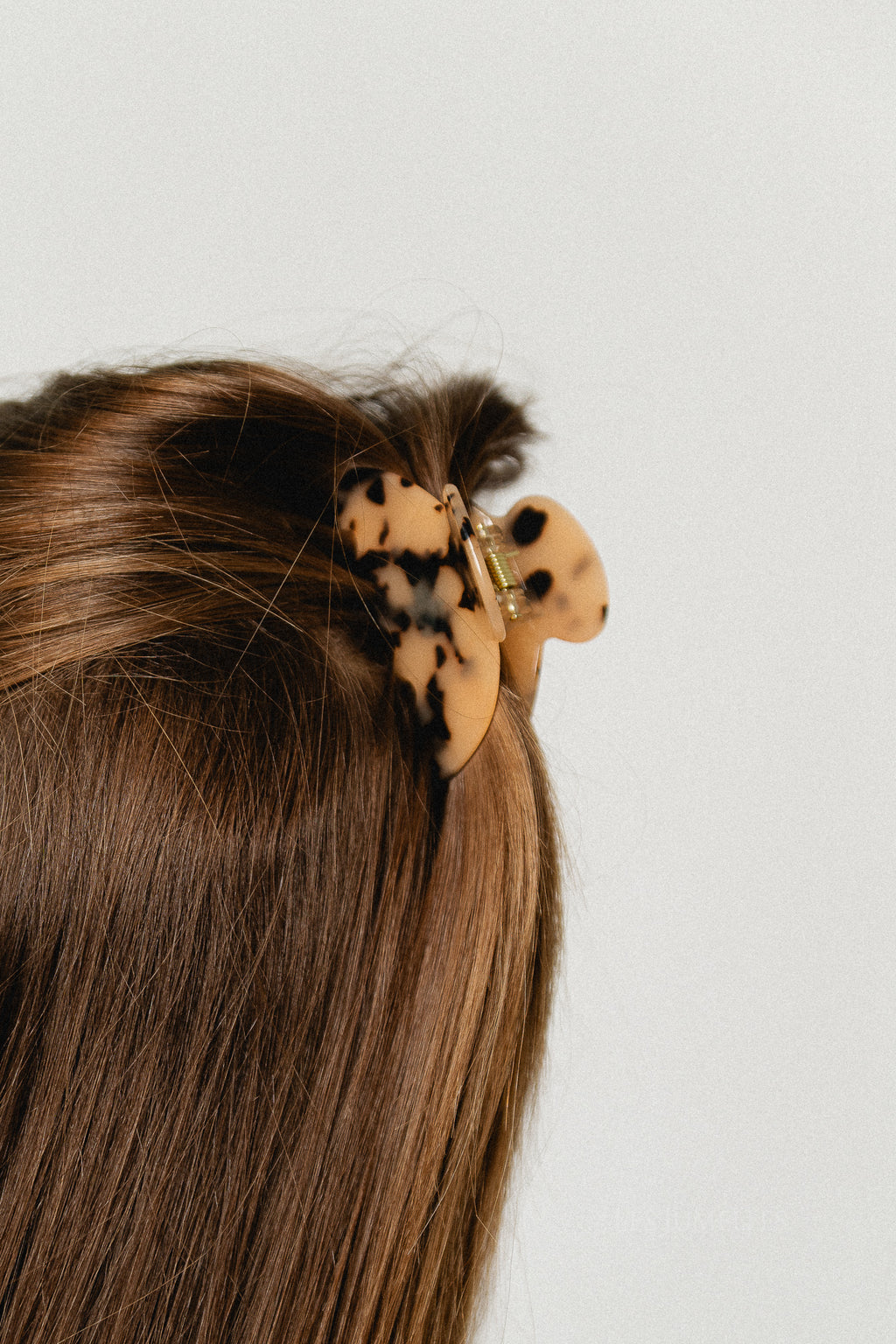 Tortoise hairclip beige