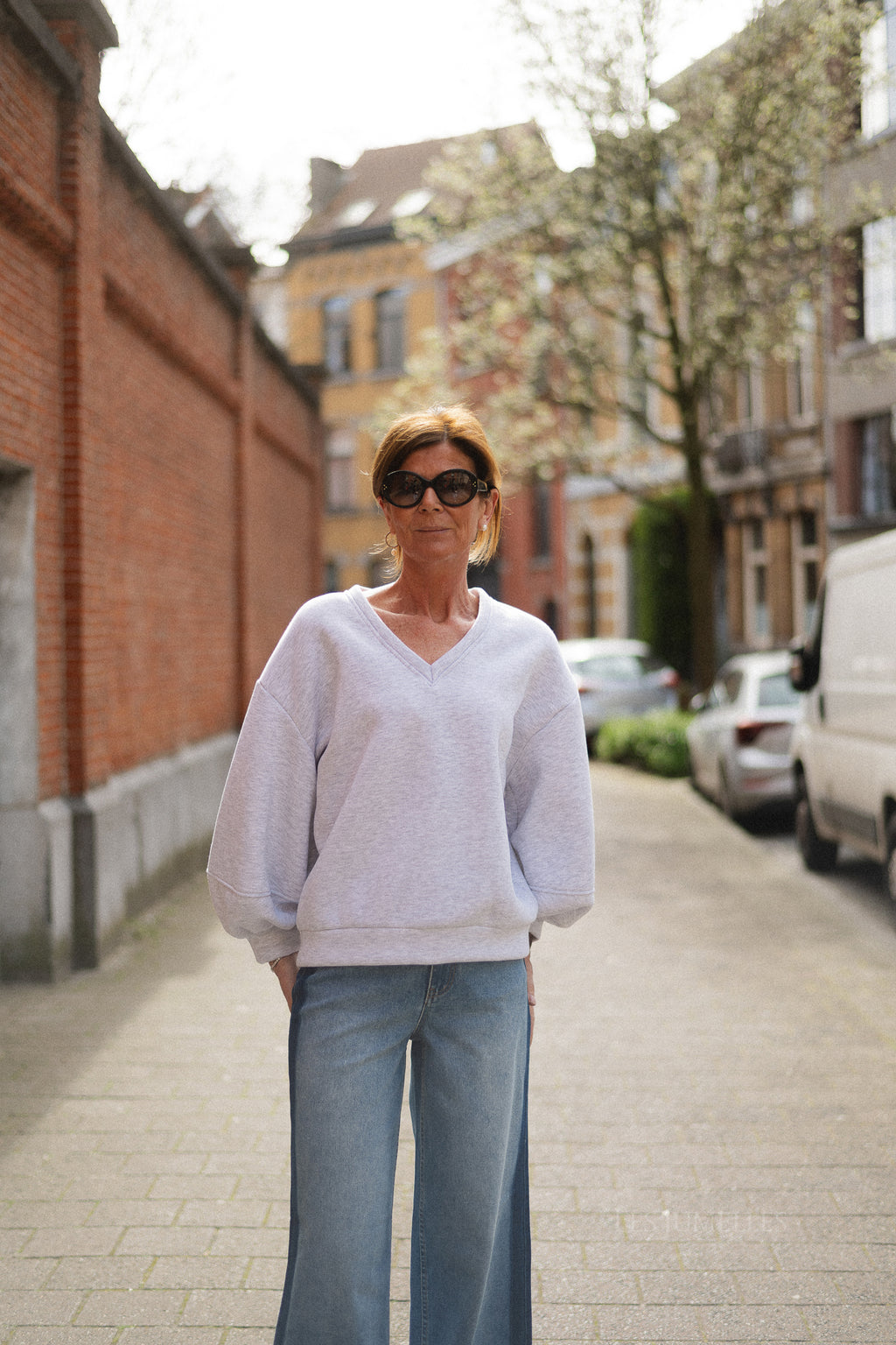 Anke V-neck sweater light grey melange