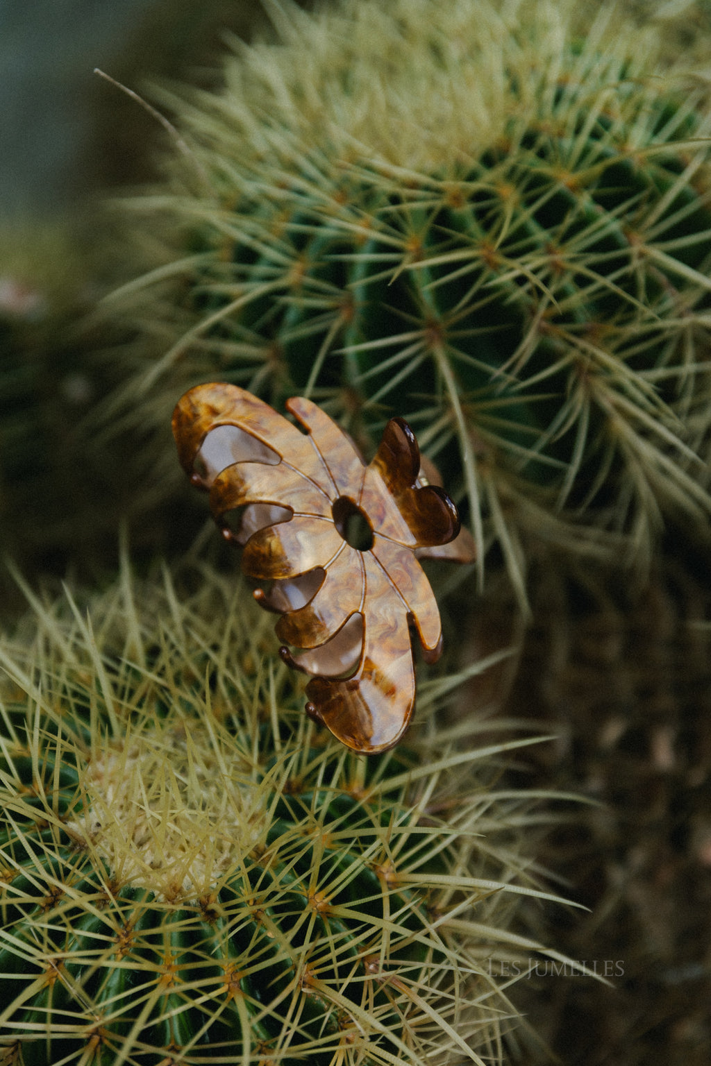 Marbie magnolia cheveux griffe brun moka