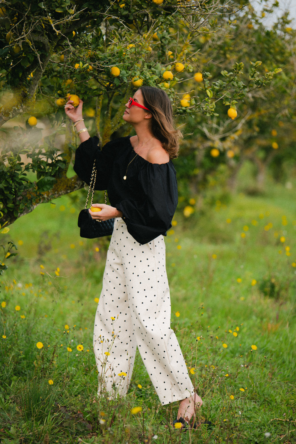 Aubrie polka dot pants eggnog/black