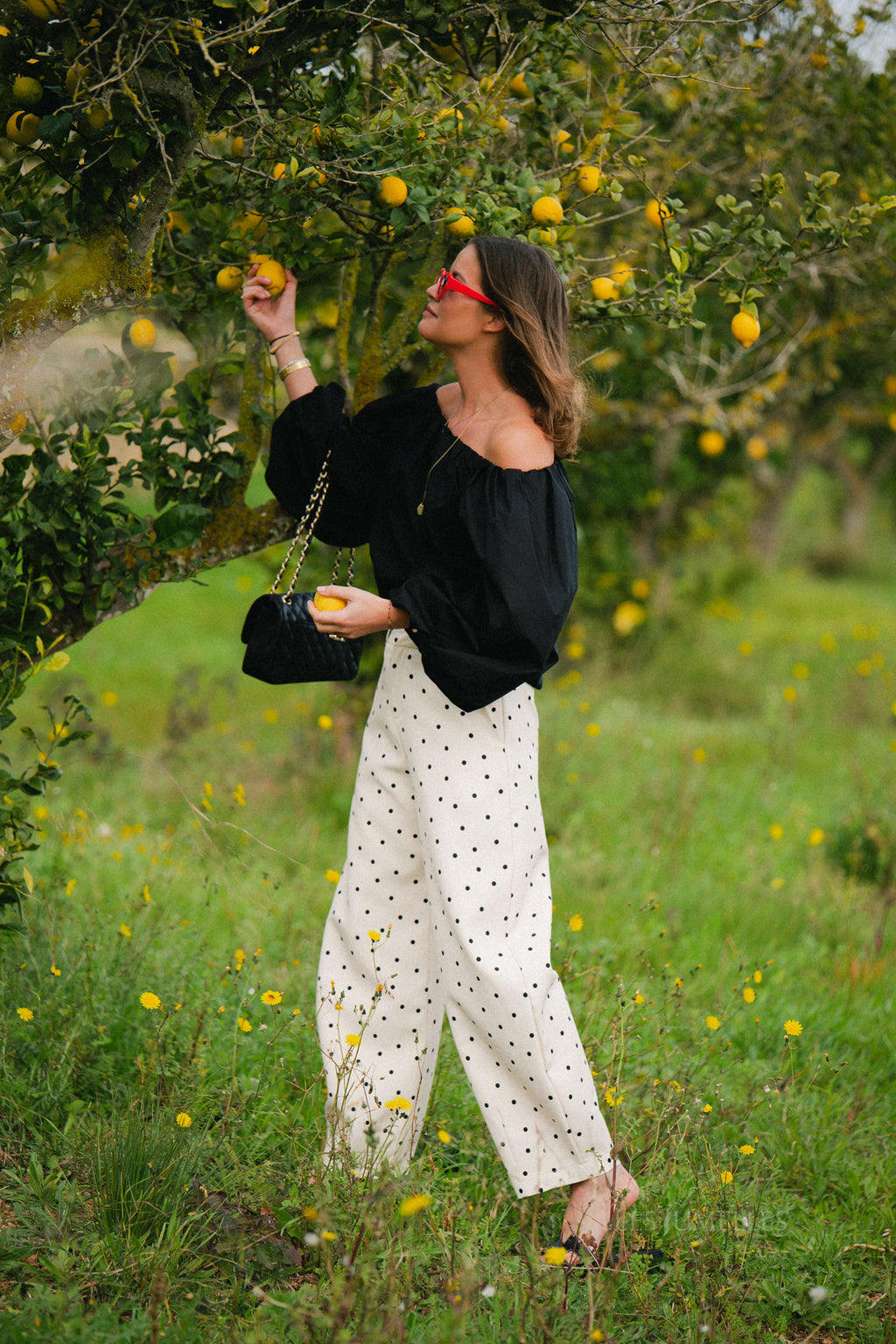 Aubrie polka dot pants eggnog/black