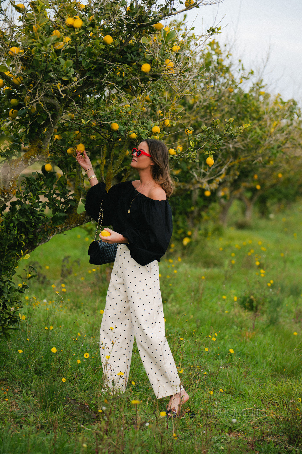 Aubrie polka dot pants eggnog/black