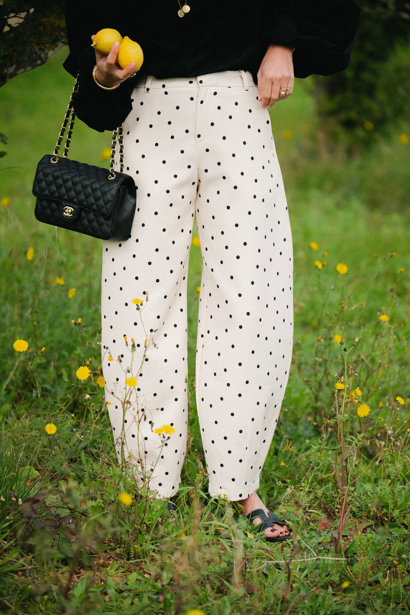 Aubrie polka dot pants eggnog/black