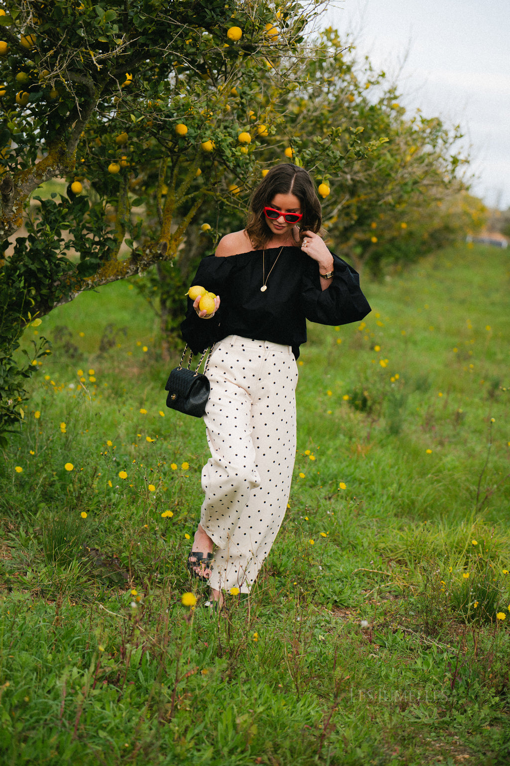 Aubrie polka dot pants eggnog/black