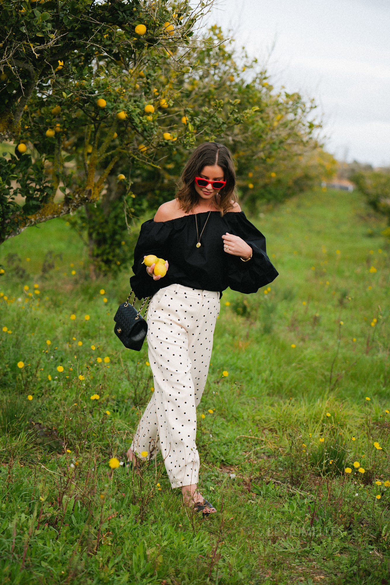 Aubrie polka dot pants eggnog/black