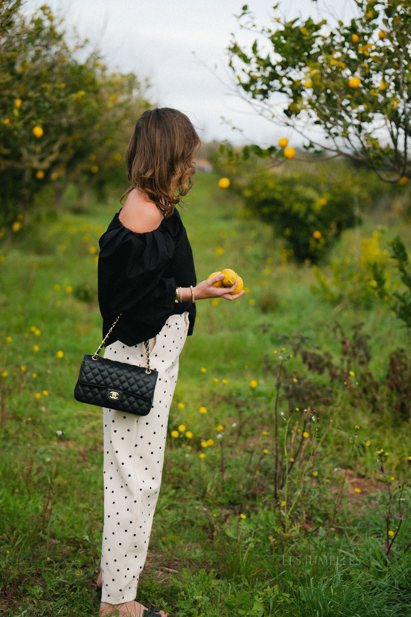 Aubrie polka dot pants eggnog/black