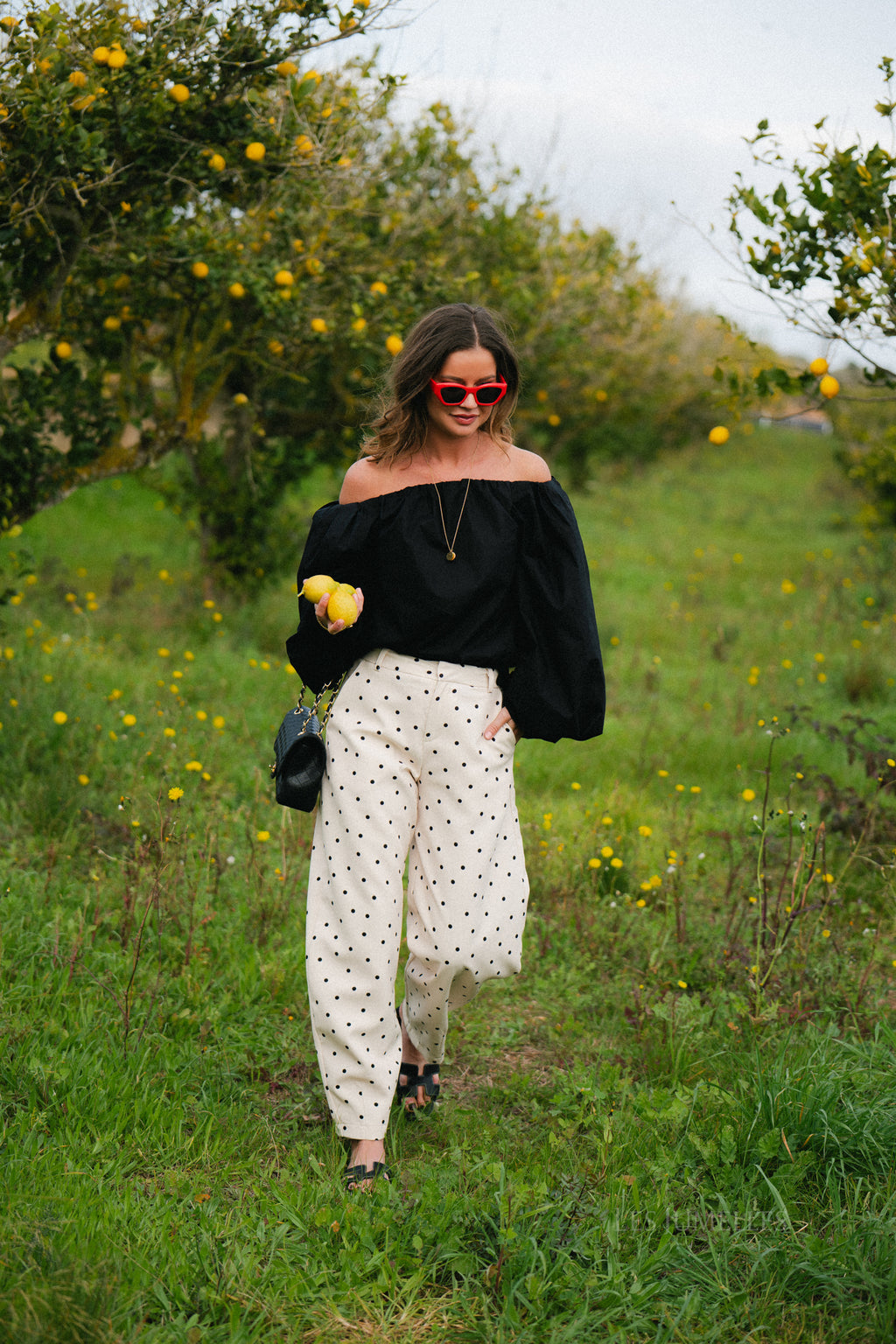 Aubrie polka dot pants eggnog/black
