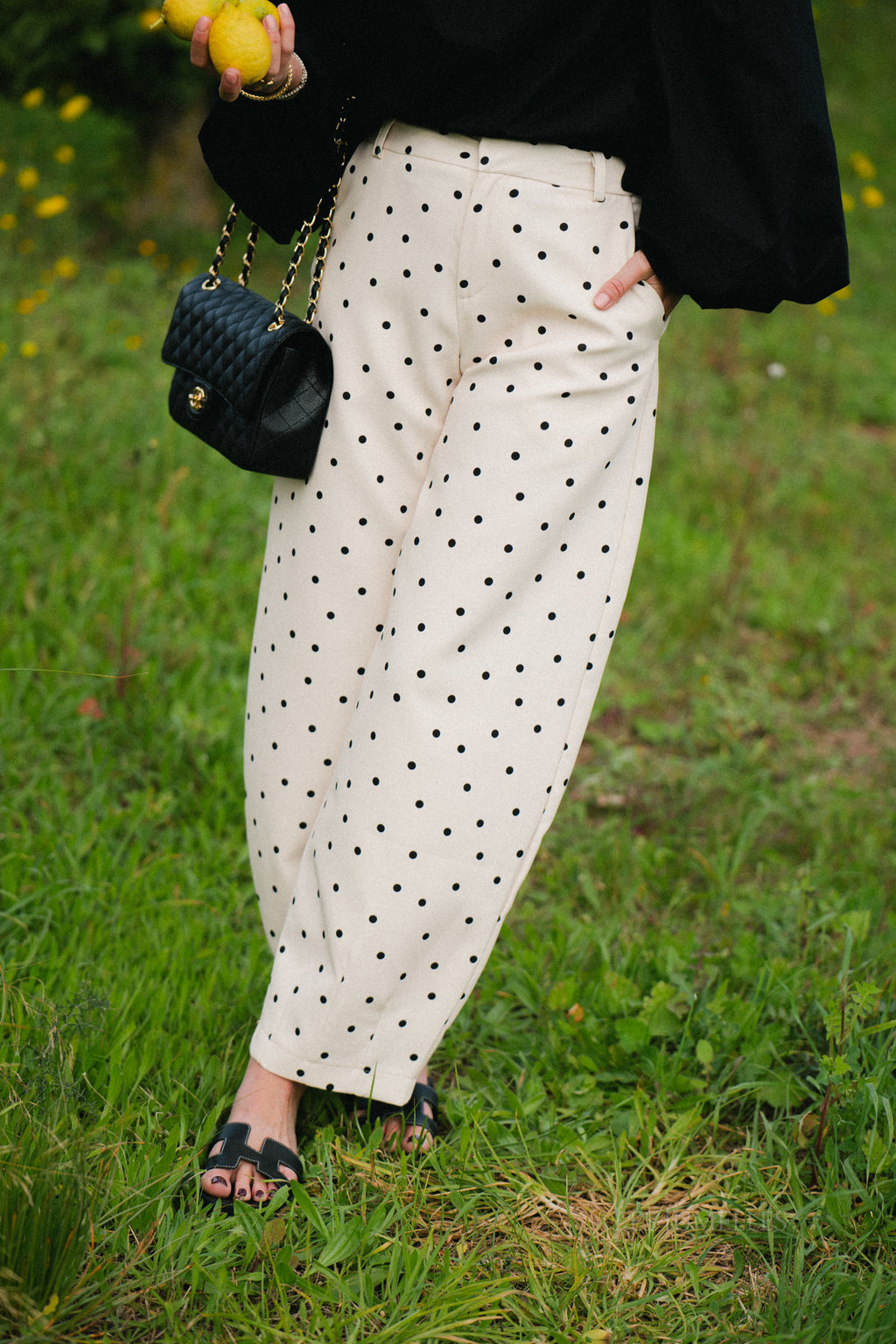 Aubrie polka dot pants eggnog/black
