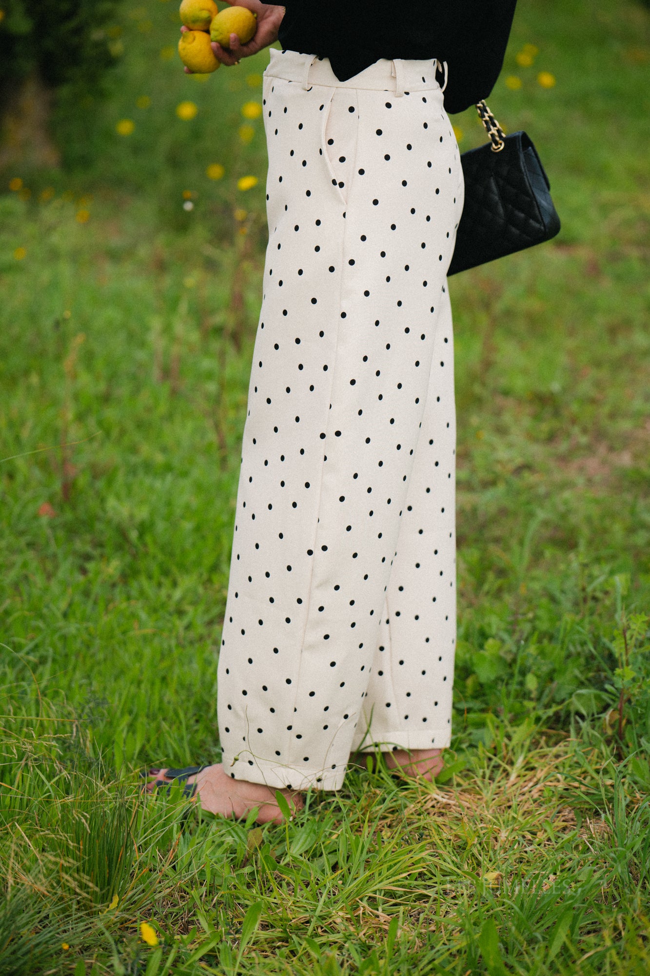 Aubrie polka dot pants eggnog/black