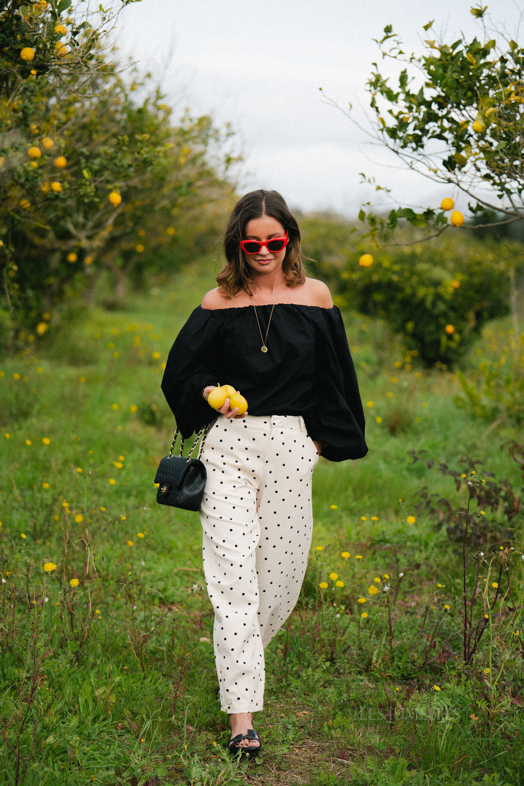 Aubrie polka dot pants eggnog/black
