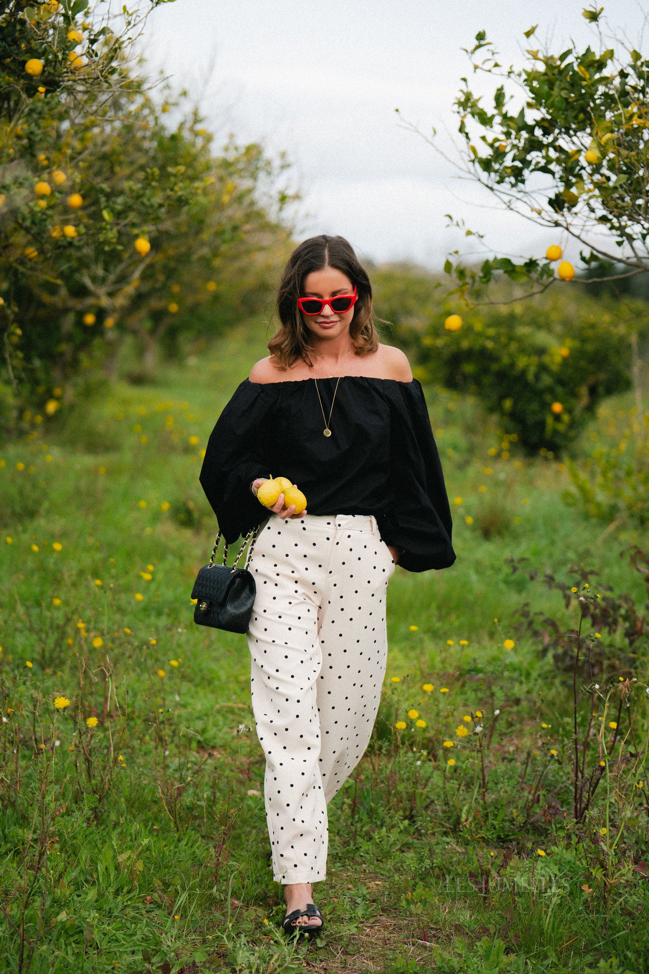 Aubrie polka dot pants eggnog/black