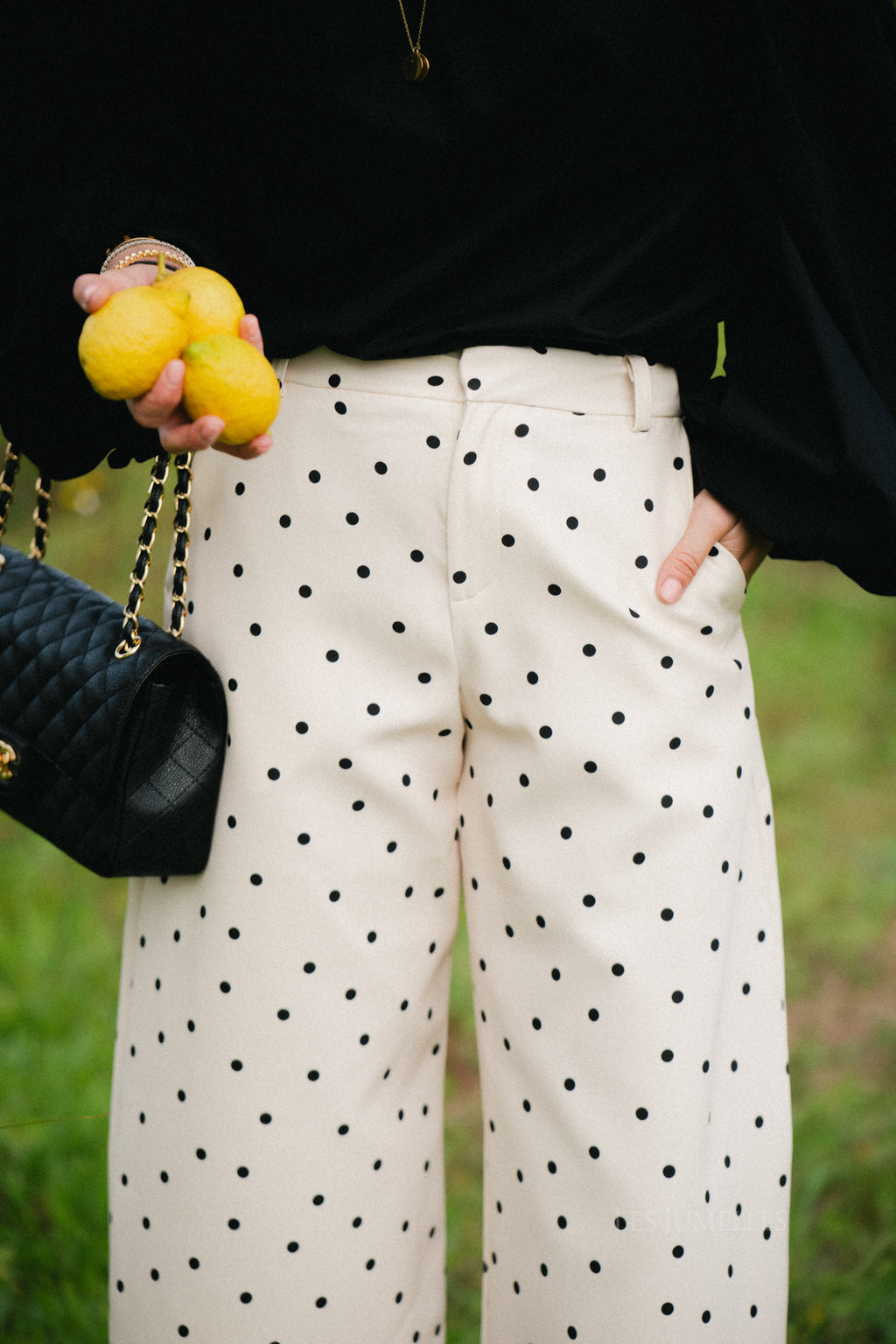 Aubrie polka dot pants eggnog/black
