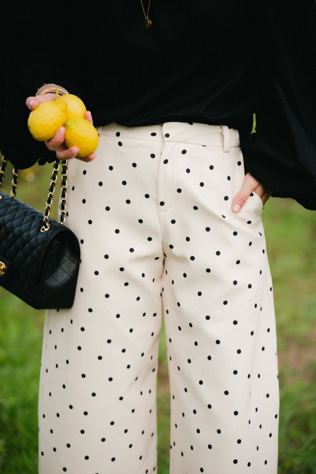 Aubrie polka dot pants eggnog/black
