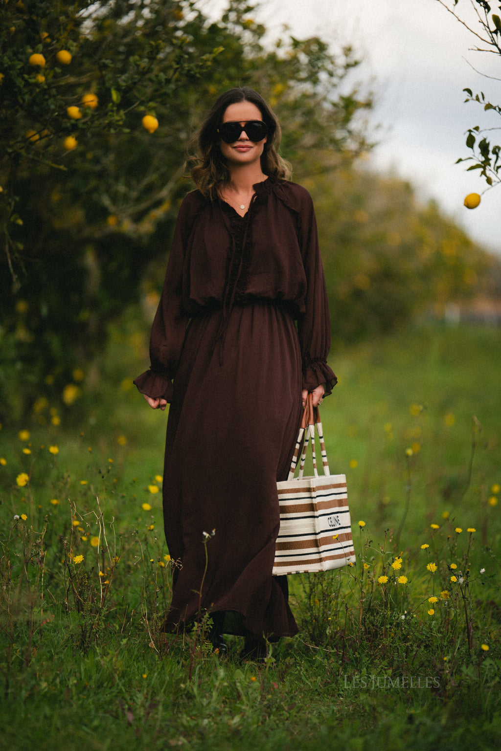 Celine maxi dress hot chocolate