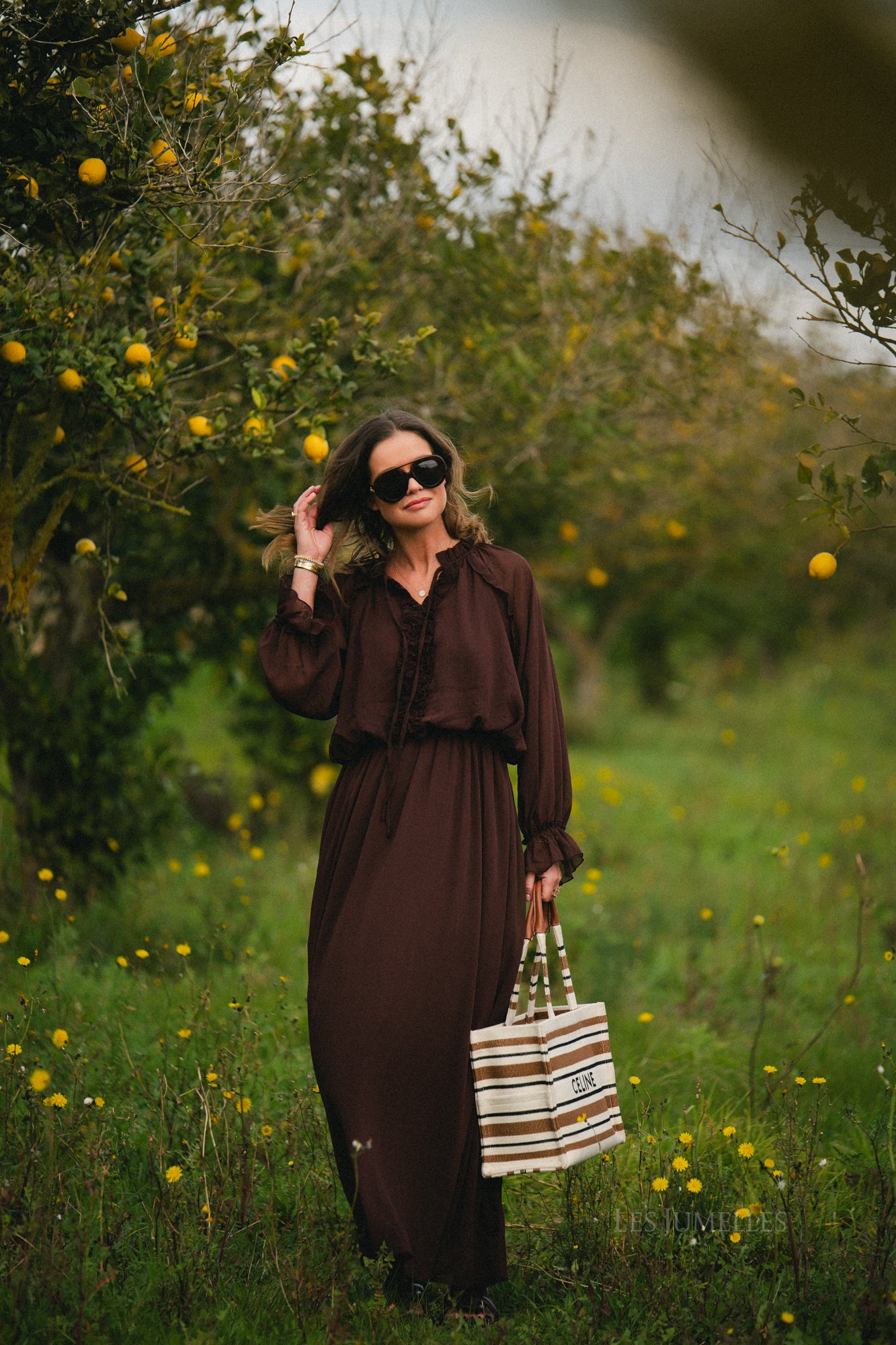 Celine maxi dress hot chocolate