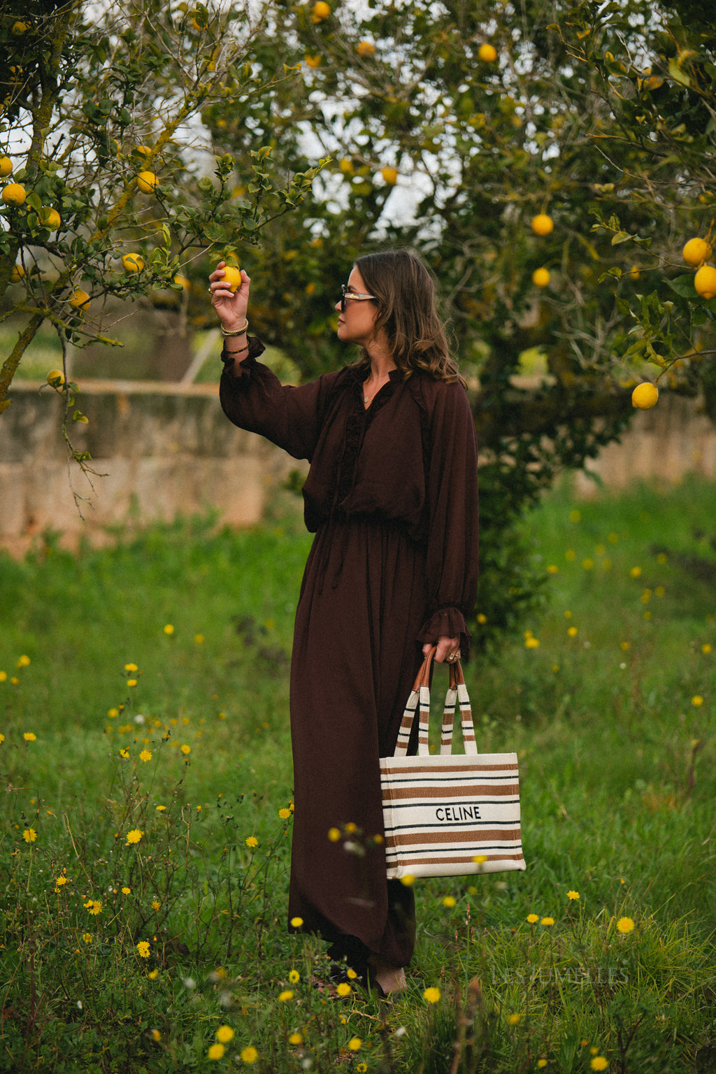 Celine maxi dress hot chocolate