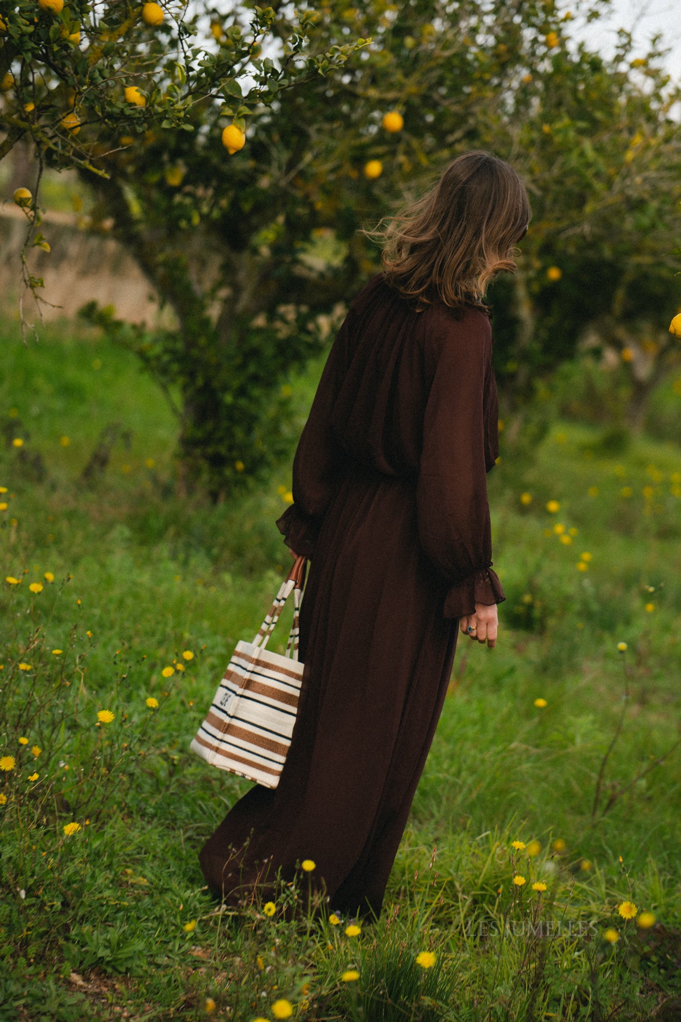 Celine maxi dress hot chocolate