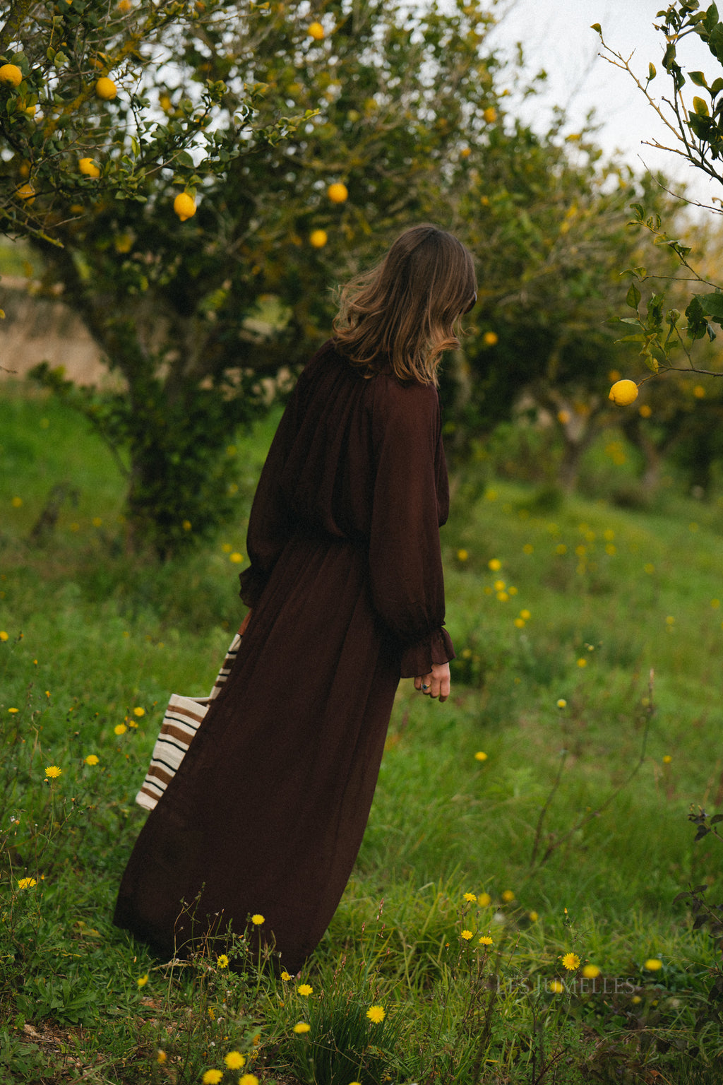 Celine maxi dress hot chocolate