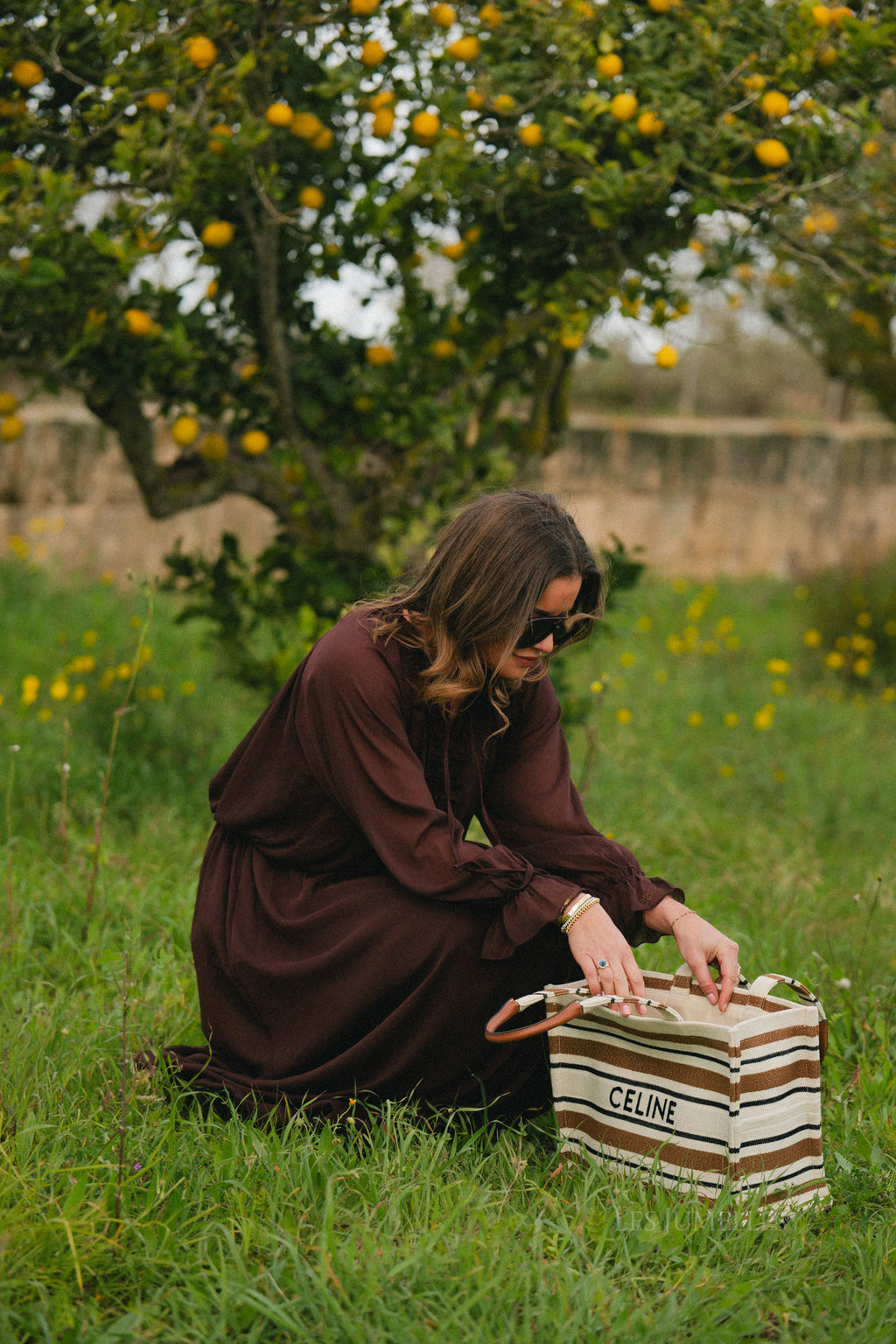 Celine maxi dress hot chocolate