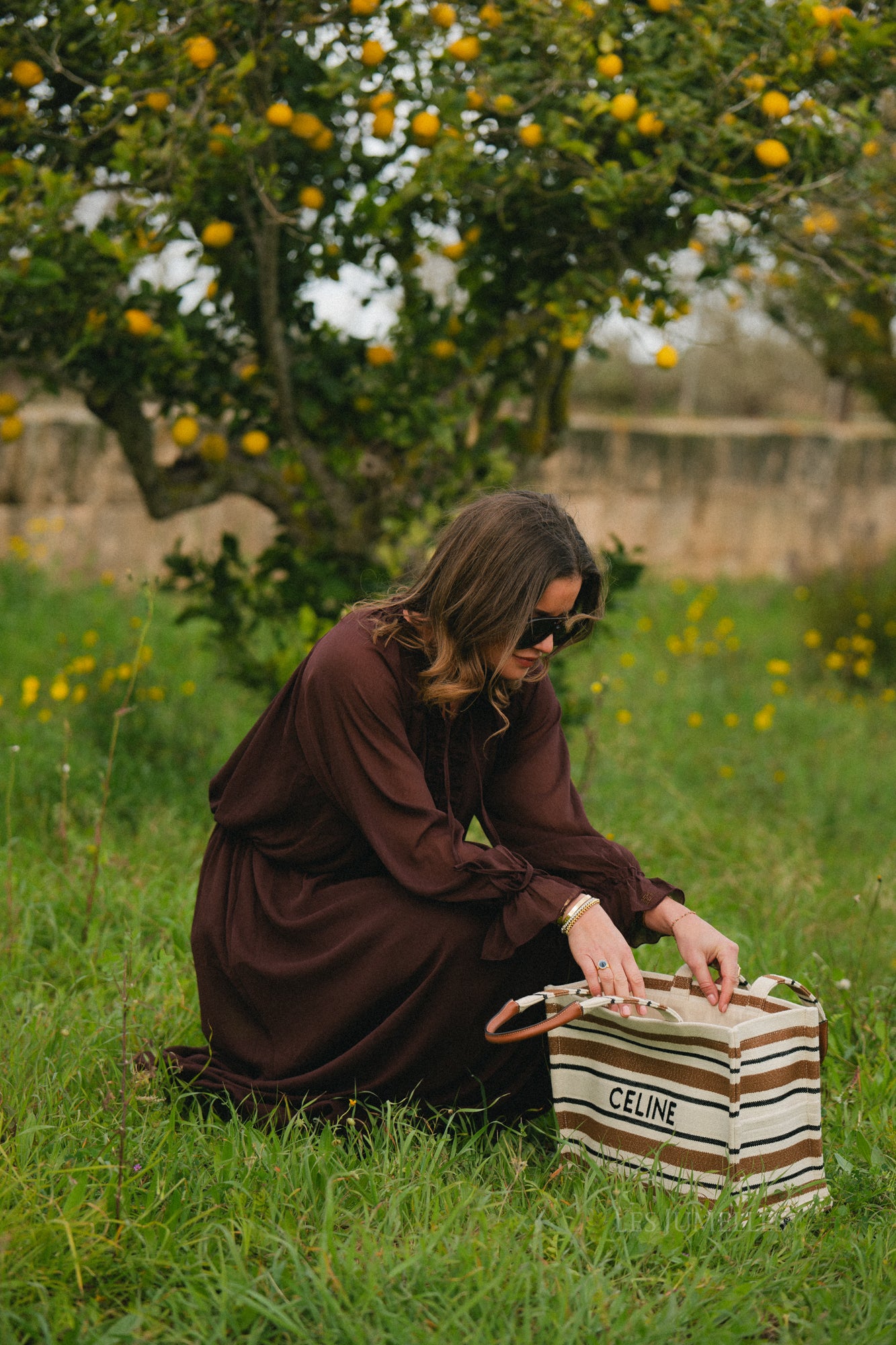 Celine maxi dress hot chocolate