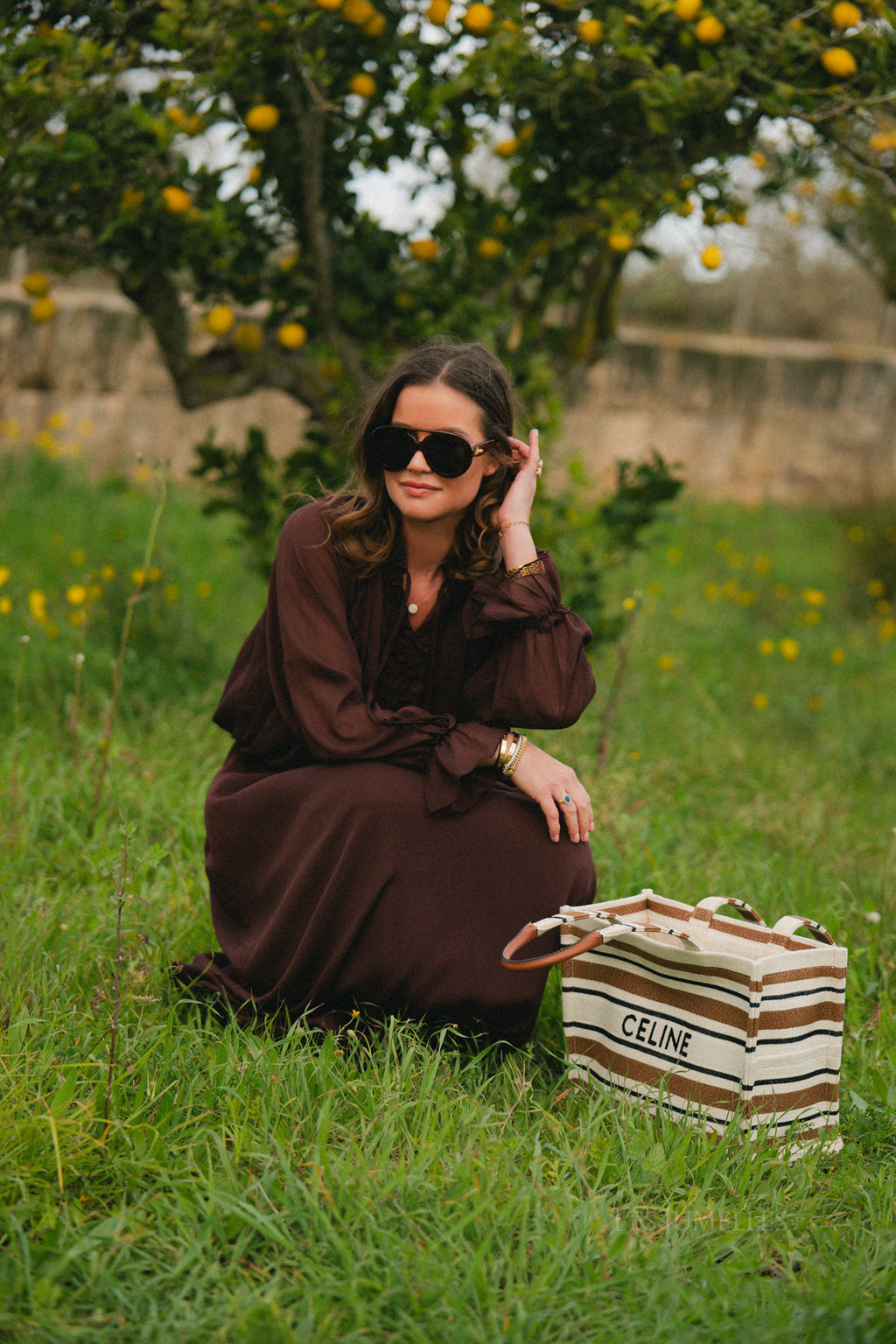 Celine maxi dress hot chocolate