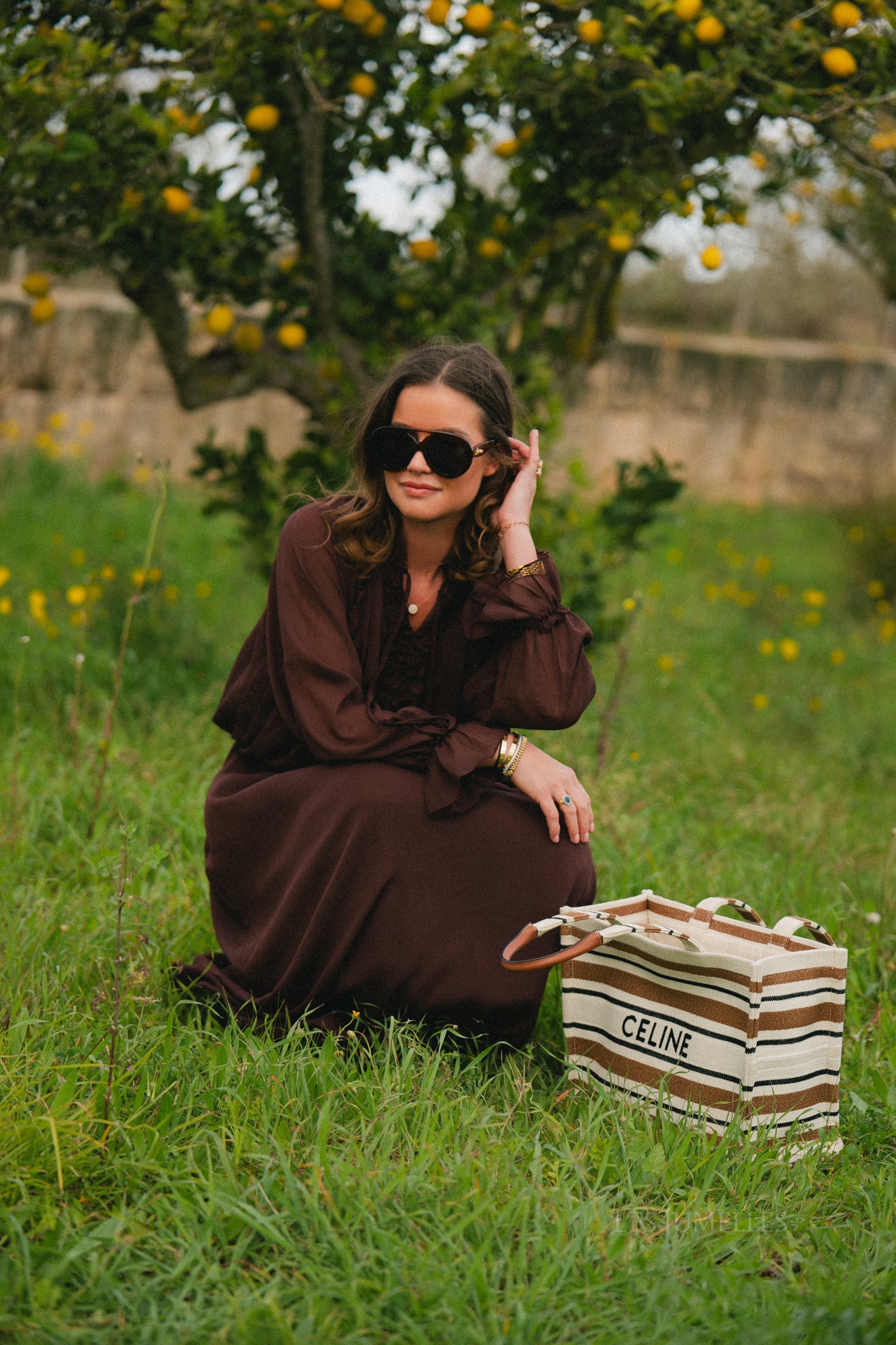 Celine maxi dress hot chocolate